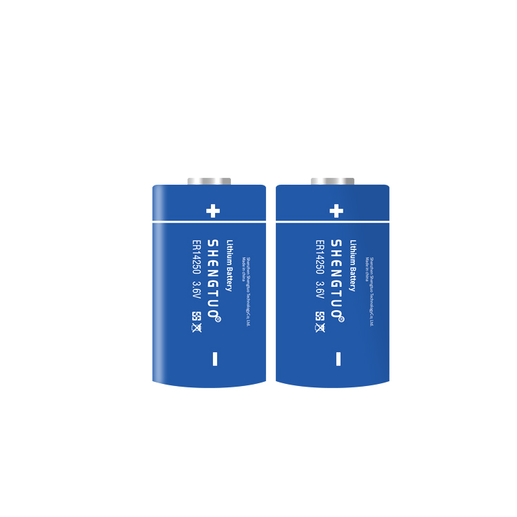 ER14250 1200mAh 3.6V