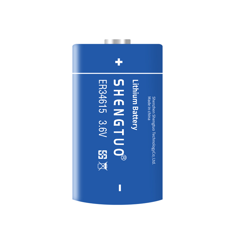 ER34615 19000mAh 3.6V D