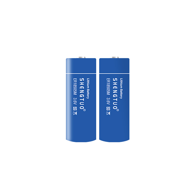ER18505M 3200mAh 3.6V A