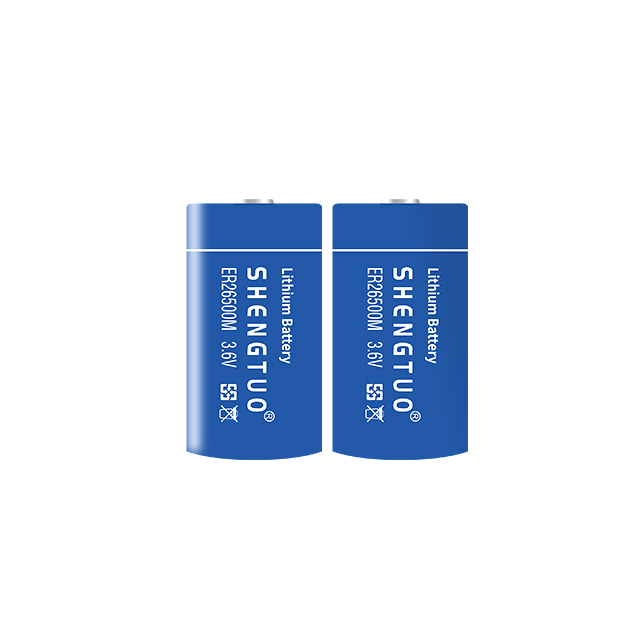 ER26500M 6000mAh 3.6V C